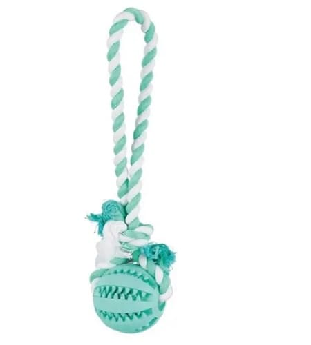 Мяч на веревке с ручкой Denta Fun (24 см)