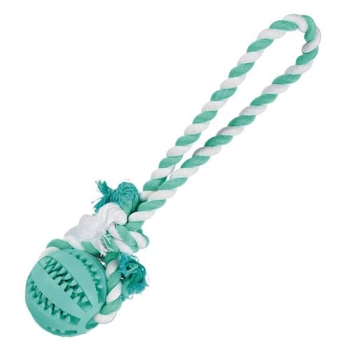 Мяч на веревке с ручкой Denta Fun (24 см)