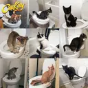 Photo 5 — Система приучения кошек к унитазу Туалет для кота Citi Kitty Cat Toilet Training