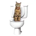 Photo 3 — Система приучения кошек к унитазу Туалет для кота Citi Kitty Cat Toilet Training