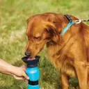 Фото 4 — Дорожная поилка для собак Aqua Dog, 537 мл