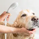Photo 4 — Портативный кемпинговый душ с помпой USB Travel shower