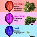 Фото 5 — Фитолампа для растений с таймером и регулировкой яркости • Круглая LED лампа для цветов на 4 головки