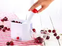 Фото 3 — Машинка для видалення кісточок вишні, черешні, оливок Helfer Hoff Cherry and olive corer