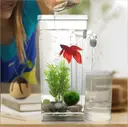 Фото 2 — Акриловий акваріум для рибок My Fun Fish Самоочисний міні-акваріум з краном для легкого очищення