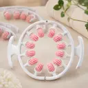 Photo 1 — Anti-Cellulite Hand Roller Massager, 12 Rollers