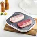 Photo 6 — Defrosting Tray for Food