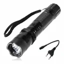 Photo 3 — Portable LED Flashlight-Stun Device Wei Shi BL-1101