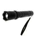 Photo 1 — Portable LED Flashlight-Stun Device Wei Shi BL-1101
