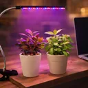 Фото 1 — Фітолампа Grow Light для рослин та розсади, повний спектр, 1 голова