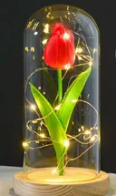 Photo 2 — Tulip Night Light in Glass Flask with LED, powered by 3x AAA batteries