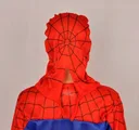 Photo 5 — Kids Spider-Man costume