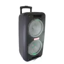 Фото 3 — Портативна колонка Su-Kam 1010 з 2 мікрофонами, Bluetooth, 12V/220V