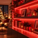 Фото 2 — Світлодіодна гірлянда-дюралайт Rope-Lights / LED-стрічка SMD5050-R 100 м Червоний