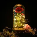 Photo 2 — Rose in glass dome with LED lighting