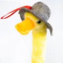 Фото 2 — Музична інтерактивна іграшка Dancing Duck