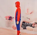 Photo 3 — Kids Spider-Man costume