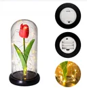 Photo 1 — Tulip Night Light in Glass Flask with LED, powered by 3x AAA batteries