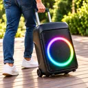 Фото 3 — Портативна Bluetooth-колонка Wireless Speaker TTD-1209 / Акустична система 12" з RGB-підсвічуванням 40 Вт + 2 бездротові мікрофони