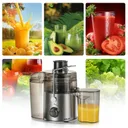 Photo 6 — Multifunctional food processor HALEY 4-in-1 1200W 550 ml / Juicer, chopper, blender, coffee grinder HY-2903