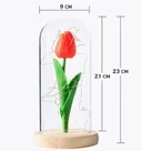 Photo 3 — Tulip Night Light in Glass Flask with LED, powered by 3x AAA batteries