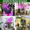 Фото 3 — Светодиодная фитолампа Grow Light для выращивания растений / Фитолампа для комнатных растений на штативе с пультом таймером