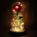 Photo 3 — Rose in glass dome with LED lighting