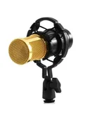 Photo 2 — M-800 Studio Microphone