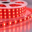 Фото 4 — Світлодіодна гірлянда-дюралайт Rope-Lights / LED-стрічка SMD5050-R 100 м Червоний