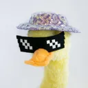 Фото 3 — Інтерактивна іграшка-повторюшка Talking Duck