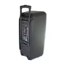 Фото 4 — Портативна колонка Su-Kam 1010 з 2 мікрофонами, Bluetooth, 12V/220V