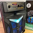 Фото 2 — Колонка портативна Bluetooth TTD-8243