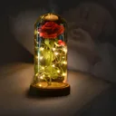 Photo 1 — Rose in glass dome with LED lighting