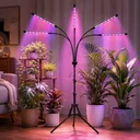 Фото 1 — Светодиодная фитолампа Grow Light для выращивания растений / Фитолампа для комнатных растений на штативе с пультом таймером