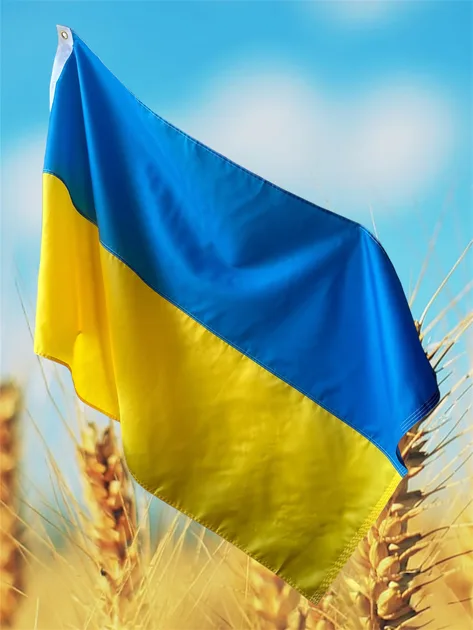Флаг Украины, 3х2