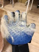 Фото 1 — Рукавичка для вичісування шерсті True Touch Pet Glove