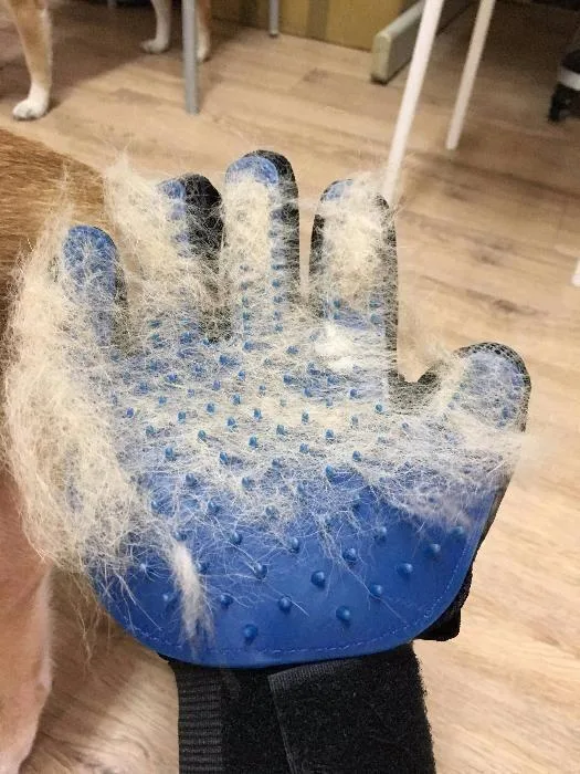 Перчатка для вычёсывания шерсти True Touch Pet Glove