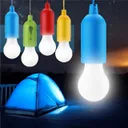 Photo 1 — LED Bulb on a Cord 6088