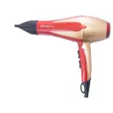 Photo 2 — Professional Hair Dryer Gemei GM-1703