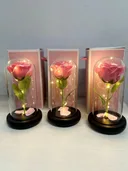 Photo 2 — Preserved rose in glass dome, pink, with light, large