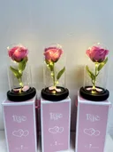 Photo 4 — Preserved rose in glass dome, pink, with light, large