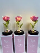 Photo 3 — Preserved rose in glass dome, pink, with light, large