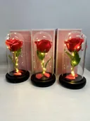 Photo 1 — Rose in Glass Dome Large with LED Light, Red