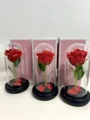 Photo 4 — Rose in Glass Dome Large with LED Light, Red