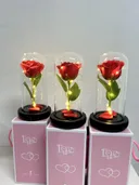 Photo 3 — Rose in Glass Dome Large with LED Light, Red