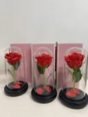 Photo 5 — Rose in Glass Dome Large with LED Light, Red