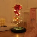 Photo 4 — Rose in Glass Dome Rose of Love RED GOLD, LED Light, Red