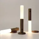 Фото 2 — Лампа LED з датчиком руху та акумулятором 500 мАг Induction Lamp