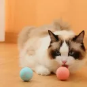 Фото 2 — Іграшка для котів Stress Cat LY-599, кулька із силовою гравітацією, що сама катається