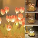 Фото 5 — Нічник-тюльпан світлодіодний Spherical Lamp HA-42, лампа DIY "умілі ручки"